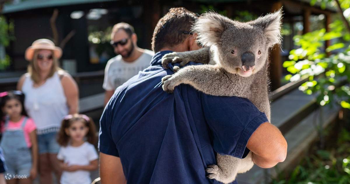 Perth's Outback Splash Water Park Admission - Klook