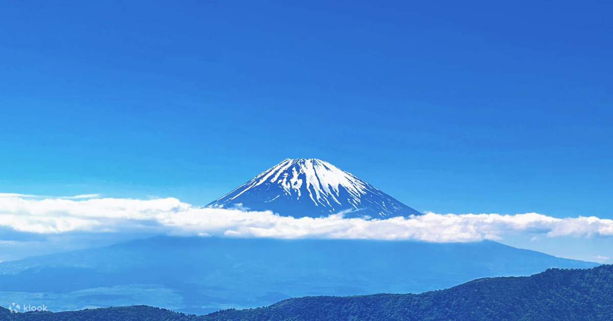 富士山スワンボート・温泉ツアー】富士山五合目・忍野八海