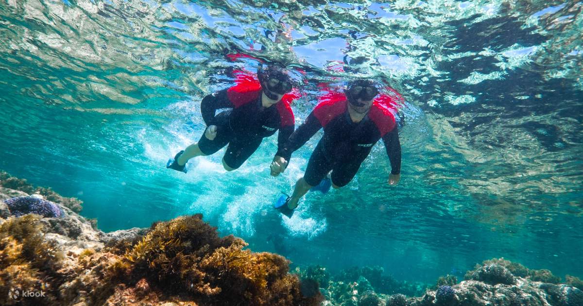 Rottnest Island Snorkelling Boat Tour - Klook