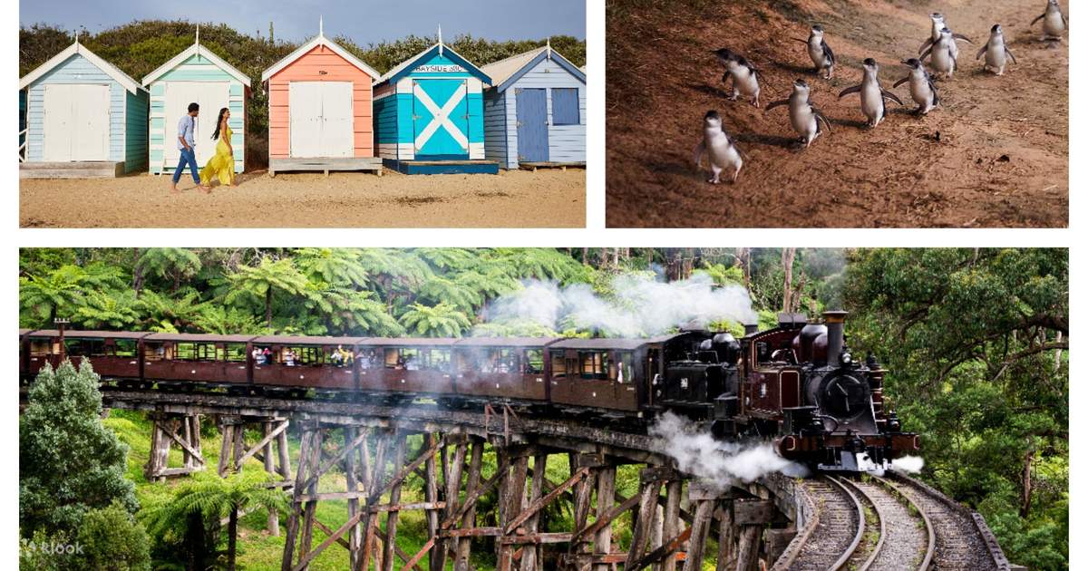 Brighton Bathing Boxes, Puffing Billy & Phillip Island Day Tour - Klook ...