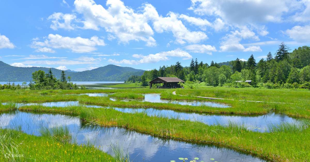 【群馬絶景ハイキングツアー】日本最大の高原湿原「尾瀬の原」&尾瀬国立公園日帰りハイキングツアー |東京から出発 | Klook