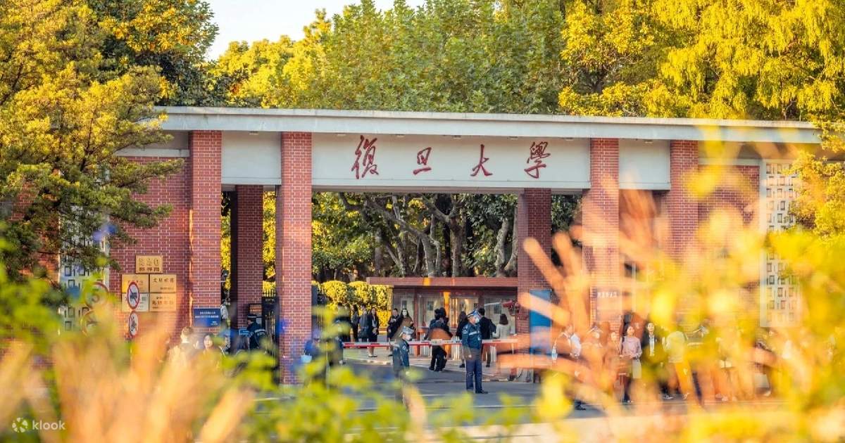 上海复旦大学&上海博物馆一日游(复旦校园漫步+触摸百年学府文脉+赏民国建筑韵味+上海博物馆探珍+凝视千年文物风华+聆听历史回声) - Klook客路