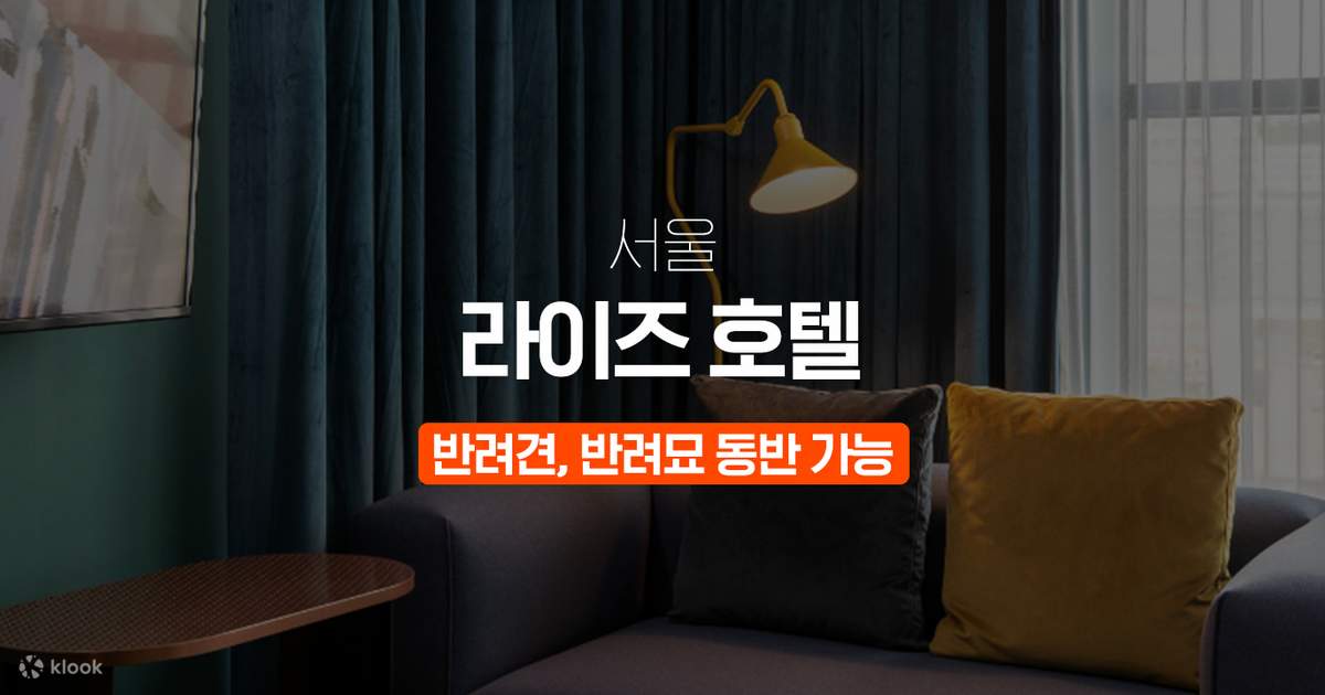서울 Ryse 호텔 반려견 동반 객실 - 클룩 Klook 한국