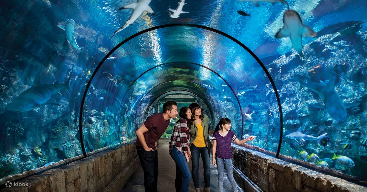 Shark Reef Aquarium At Mandalay Bay Las Vegas Review