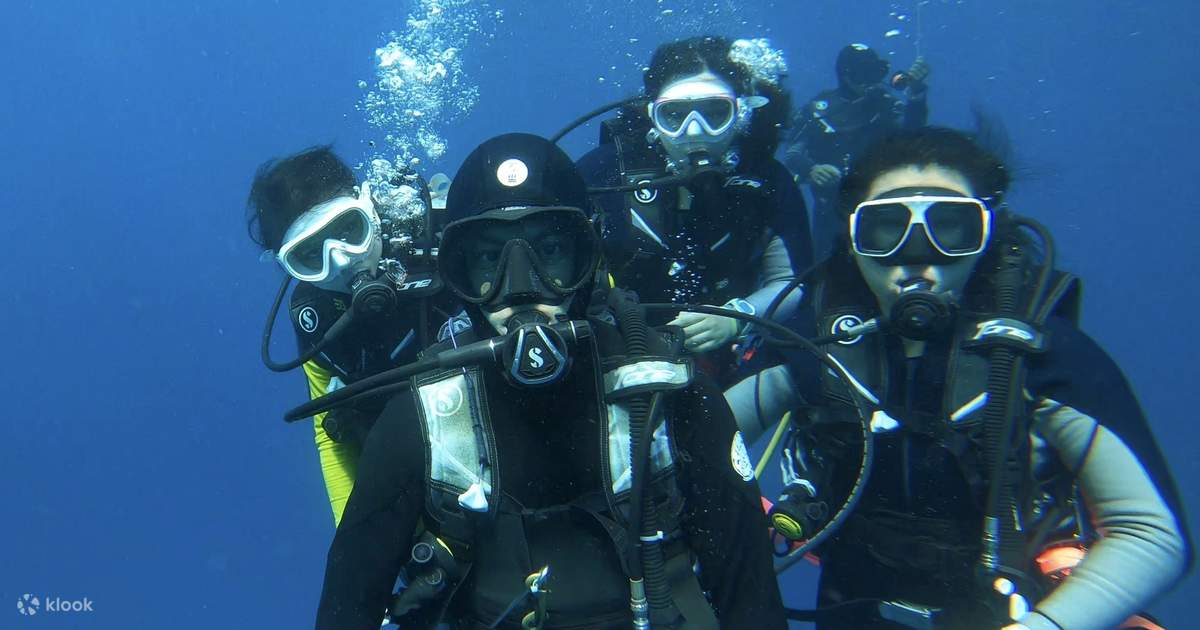 Explore Tulamben Liberty Shipwreck and Macro Dive with Our PADI 5 Star ...