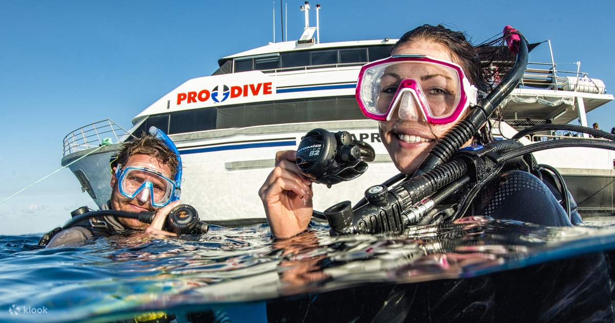 Scuba Diving in Cairns - Klook