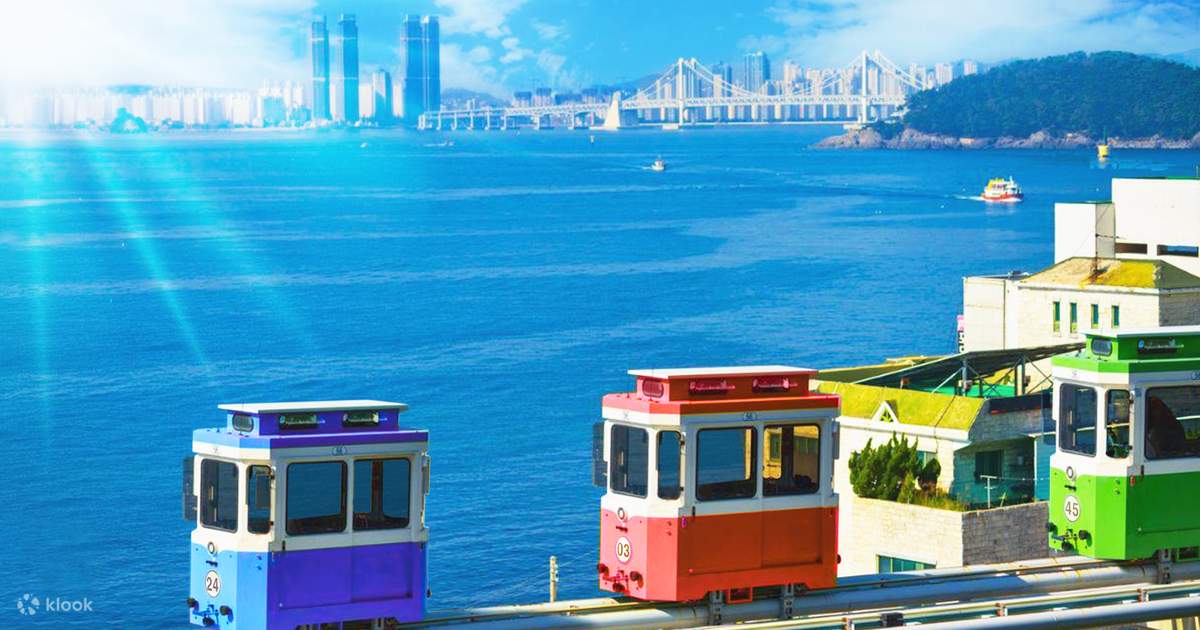 Taejongdae Hydrangea Songdo Cable Car Gamcheon Gwangalli Tour Klook  India