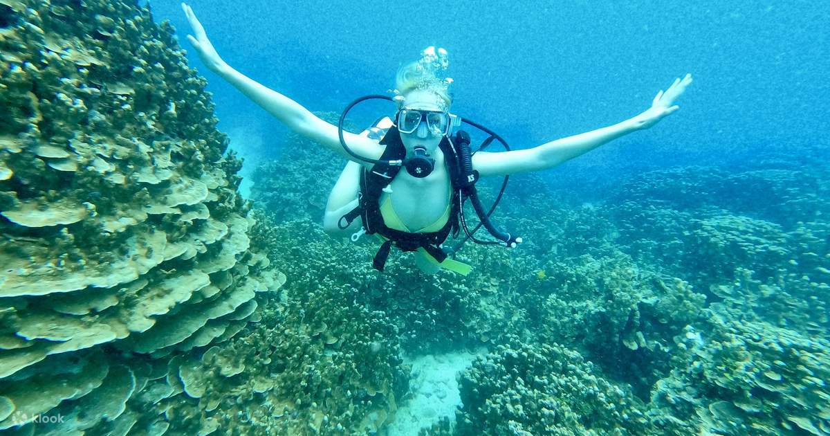 Experience Scuba Diving Klook United States Experience Scuba Diving Klook United States