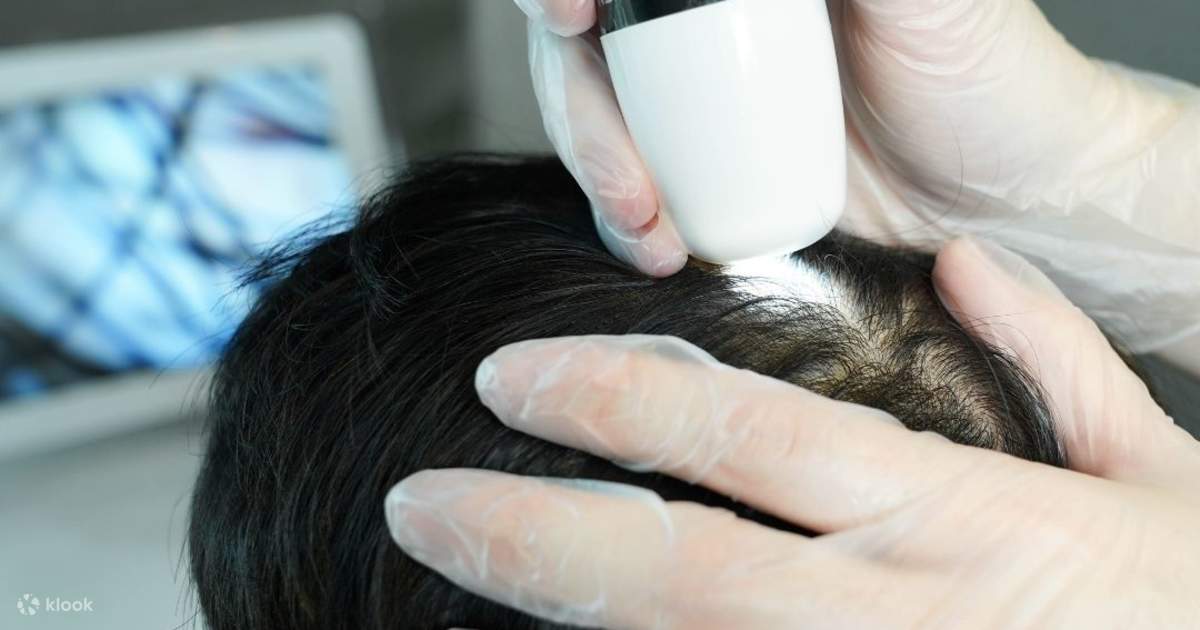 Hair Forest Professional Scalp Treatment in Causeway Bay and Mongkok -  Klook New Zealand