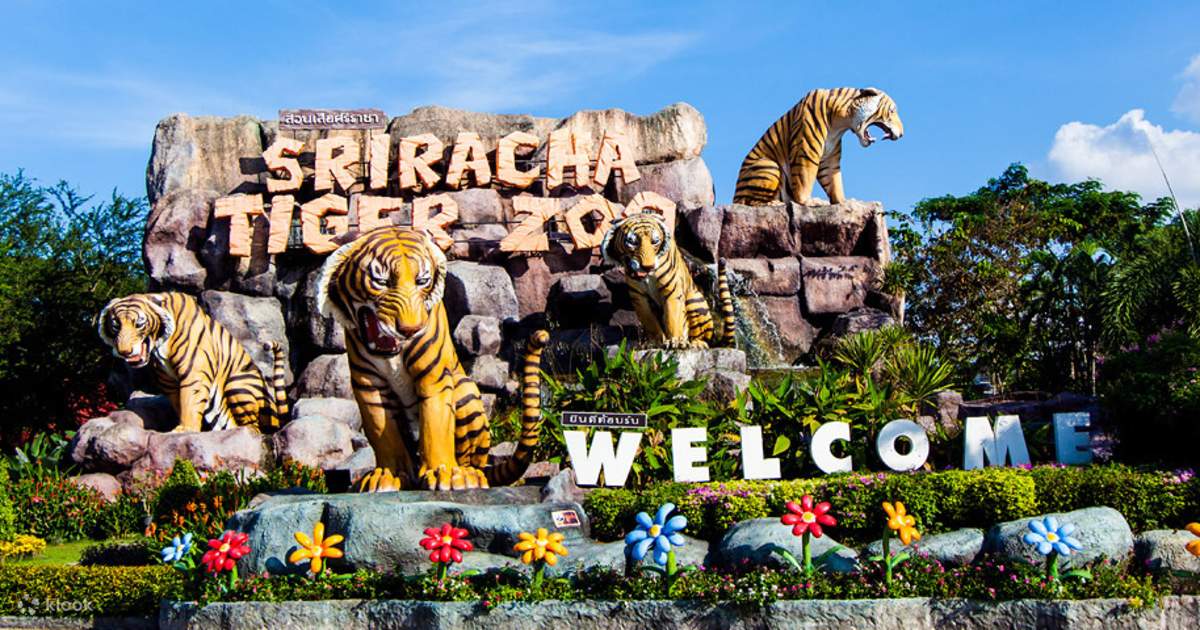Sriracha Tiger Zoo; Zoos in Thailand to Visit with Family and Kids