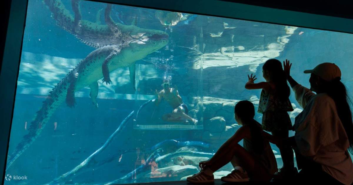 Crocosaurus Cove Ticket in Darwin Klook India