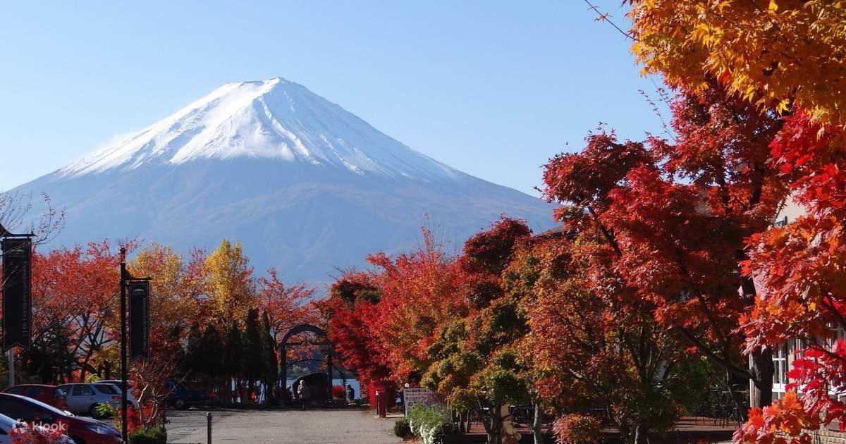 富士山紅葉狩り：河口湖もみじ回廊、昇仙峡、新倉山公園日帰り