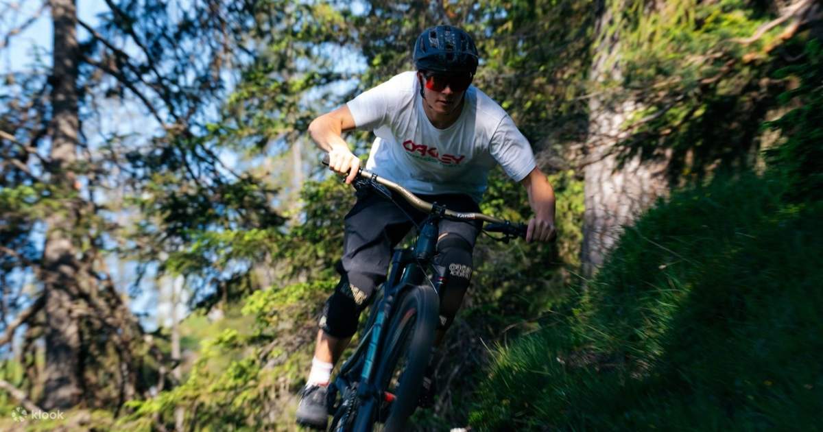 Whakarewarewa Forest Loop Redwoods Mountain Bike Hire 2025