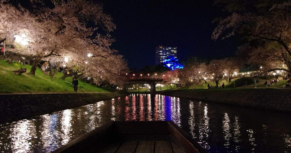 冈崎樱花节与划船和点亮的樱花- Klook客路