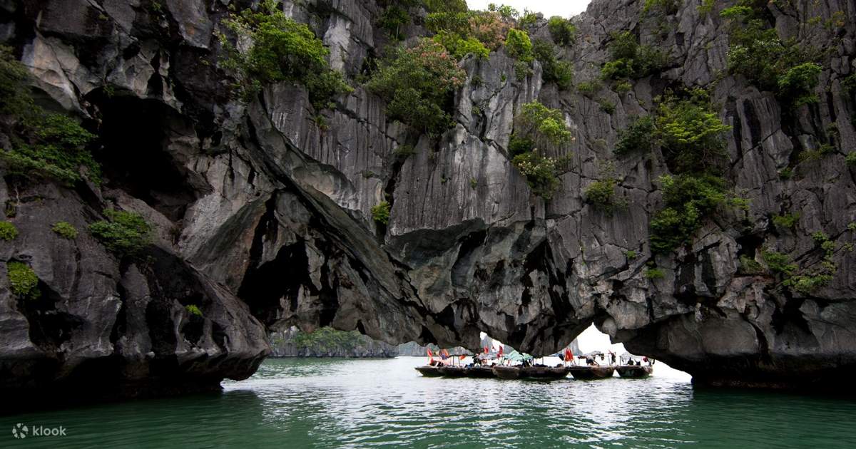 Up to 20% Off | Luon Cave and Titop Island Full Day Tour in Halong Bay, Vietnam - Klook Philippines