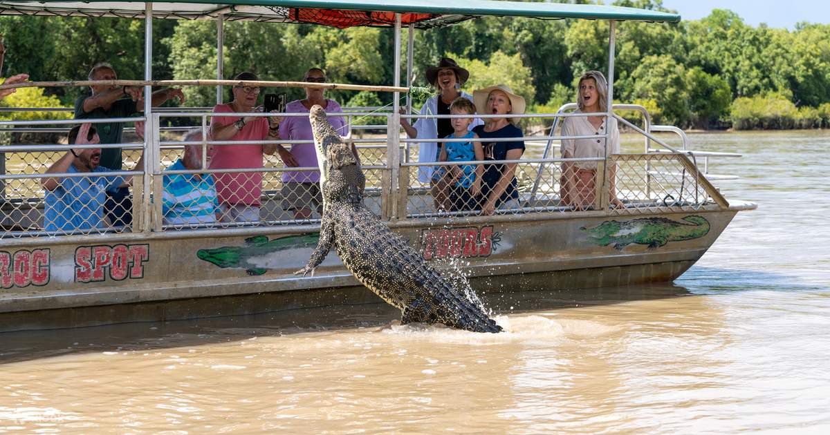 Jumping Crocodile Cruise Half Day Experience - Klook Australia