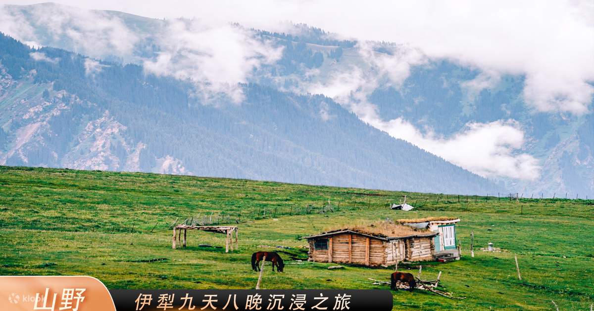 新疆伊犁大环线9天8晚自然野奢之旅(入住琼库什台宛如故里享天幕下午茶+牧星谷营地+夏塔徒步+赛里木湖环湖+自驾那拉提景区+独库公路 ...