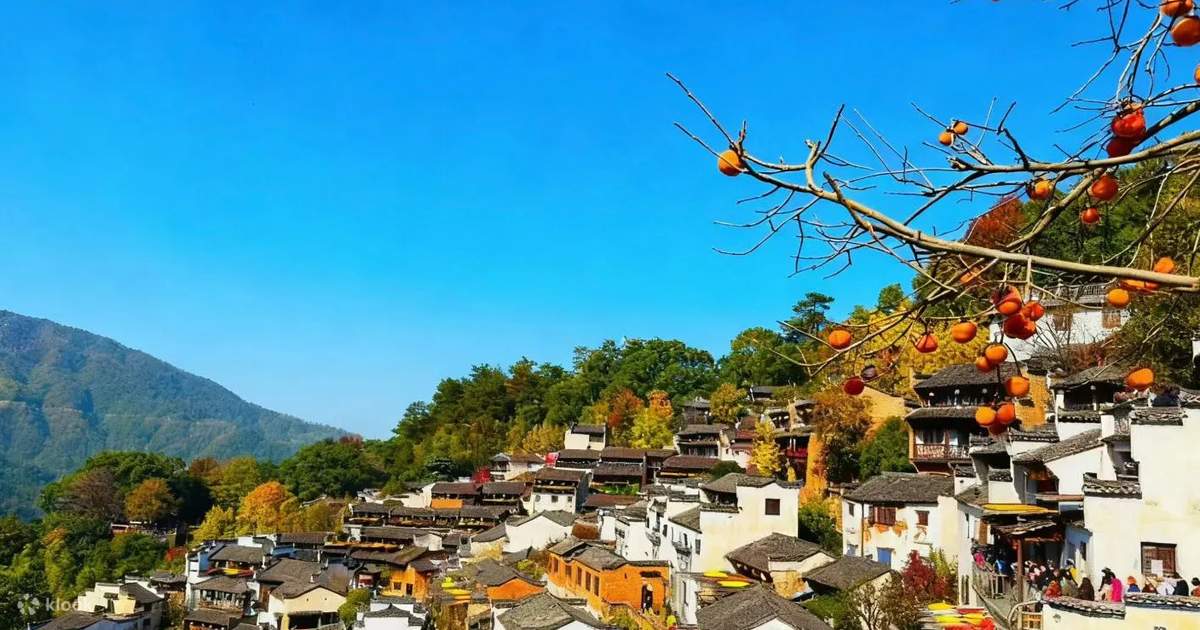 Jiangxi Wuyuan Huangling + Shangrao Wangxian Valley One-Day Tour (Enjoy ...