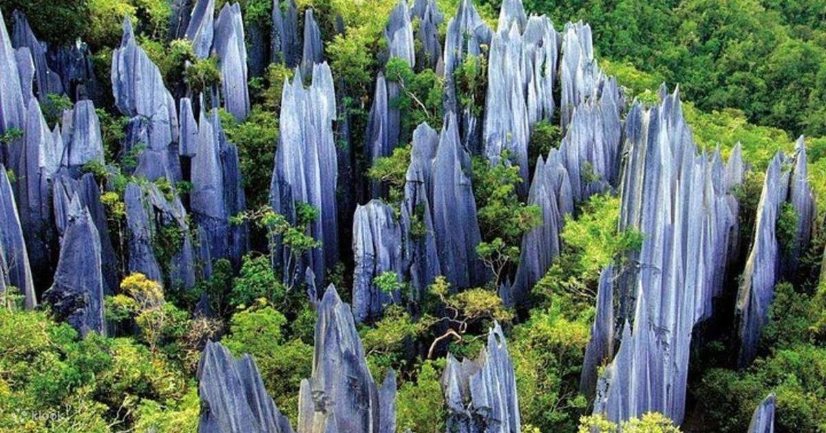 Kunming Private Day Tour to Stone Forest and Chengzi Ancient Town - Klook