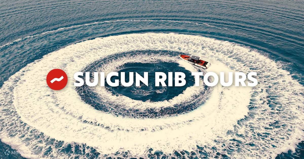 瀬戸内海・尾道高速艇アドベンチャークルーズ | Klook