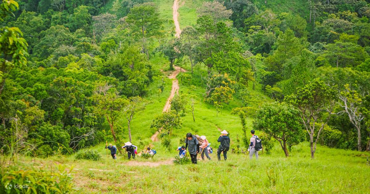 Tour Trekking Tà Năng - Phan Dũng 2N2Đ (Khởi Hành từ TP. Hồ Chí Minh) -  Klook Việt Nam