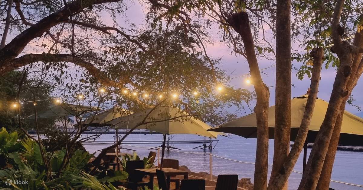 things to do in subic bay freeport zone philippines | explore the jungle with tree top adventure subic