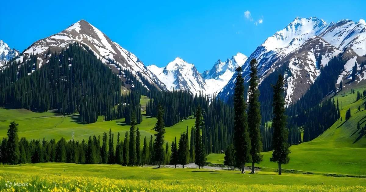 5-day luxury tour in Yining, northern Xinjiang (self-driving ...