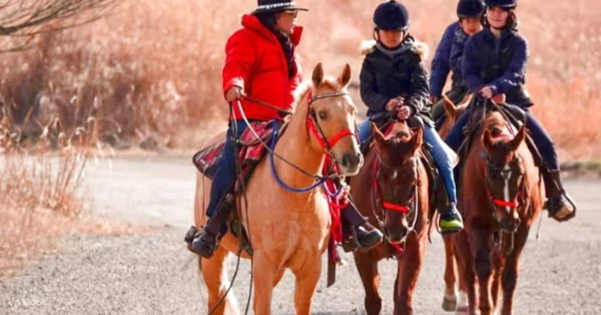 御殿場Virtus Riding Club騎馬體驗 - Klook香港