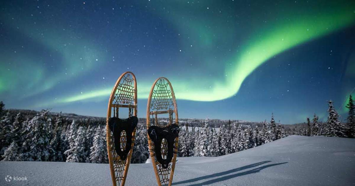 Snow Rovaniemi Rovaniemi Night Snowshoeing Experience - Klook Singapore