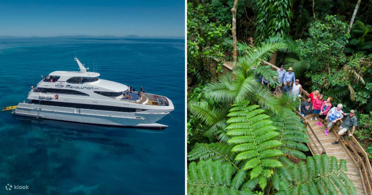 2-Tages-Kombination: Great Barrier Reef und Daintree Rainforest - Klook ...