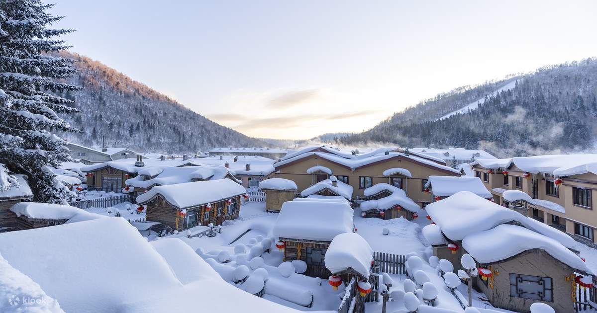 5日間ツアー:雪郷、ハルビン、中国東北部 (ハルビン氷雪大世界+ハルビン工業大学博物館+雪郷おとぎの国+亜雪公路+亜布力スキー場スキー ...