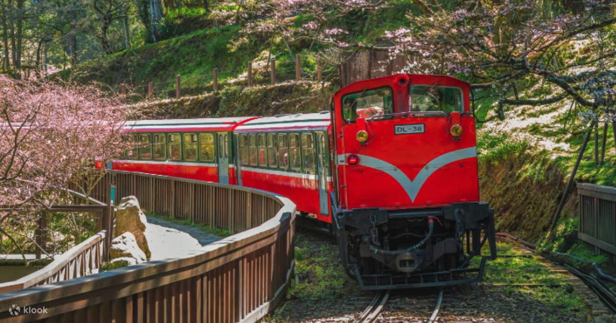 Chiayi Alishan｜Two days and one night｜Sunrise Forest Healing Tour ...