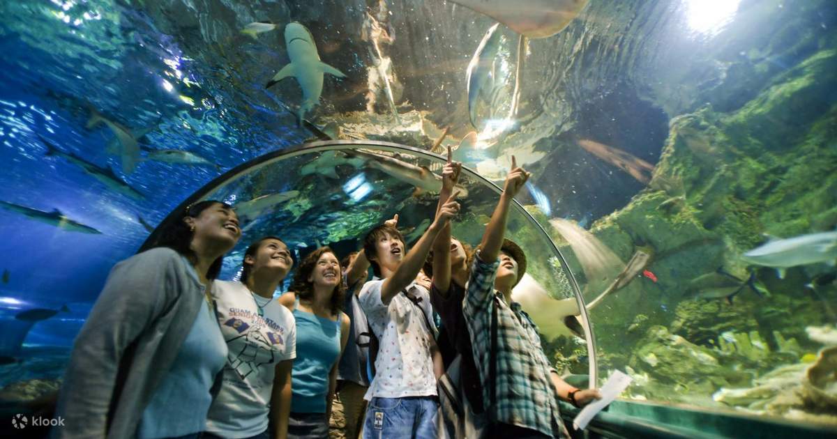 guide to guam for first timers | exploring underwater world