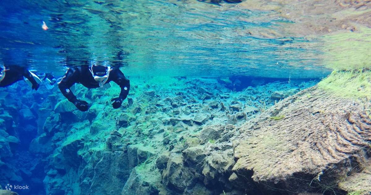 Snorkeling Between Continents in Silfra Fissure Klook Estados Unidos