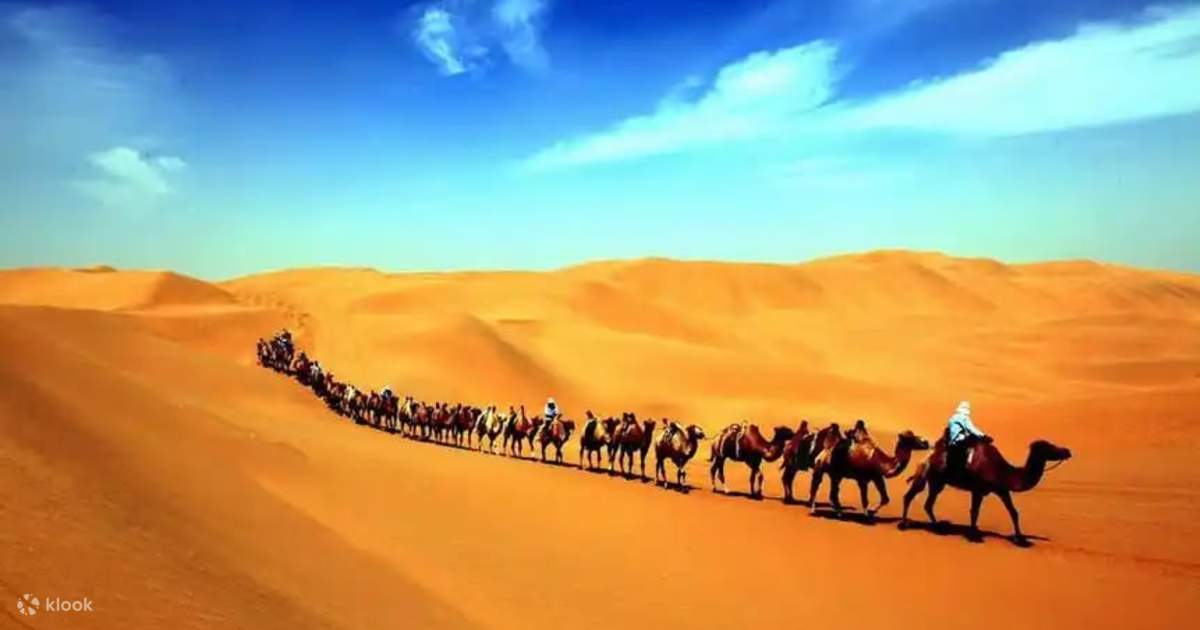 Private one day tour in Dunhuang Gansu (explore the thousand year old