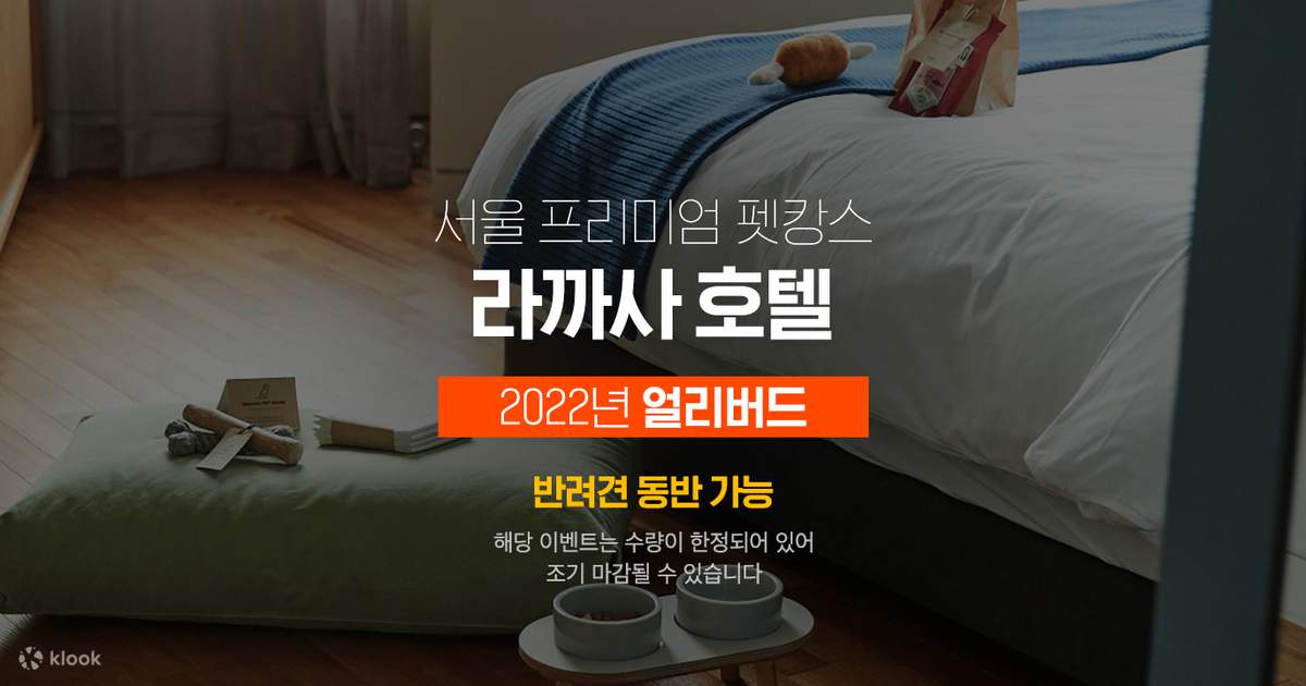 얼리버드 이벤트] 서울 라까사 호텔 반려견 동반 객실 - 클룩 Klook 한국