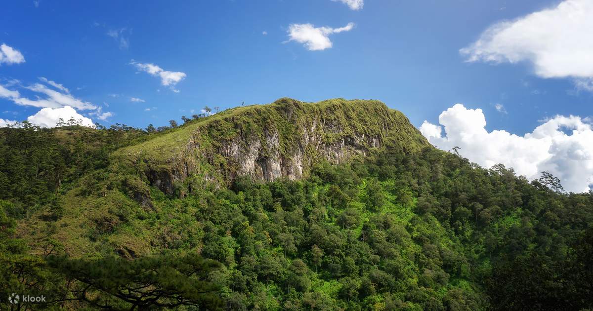 Chiang Mai Thep Sadet & Coffee Plantation Full Day Hiking