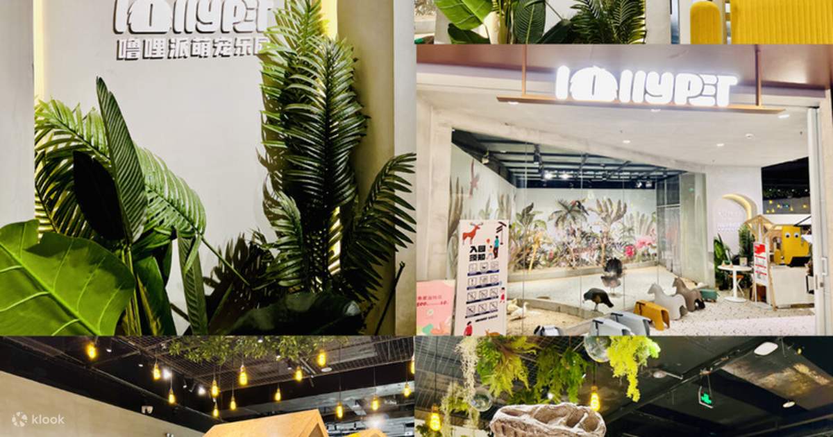 Shenzhen Lollypet Cute Pet Paradise Klook