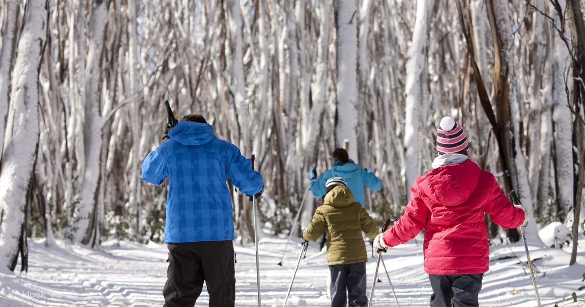 Washington Stevens Pass Snow Lake Snowshoe Lake Mountain Snow And
