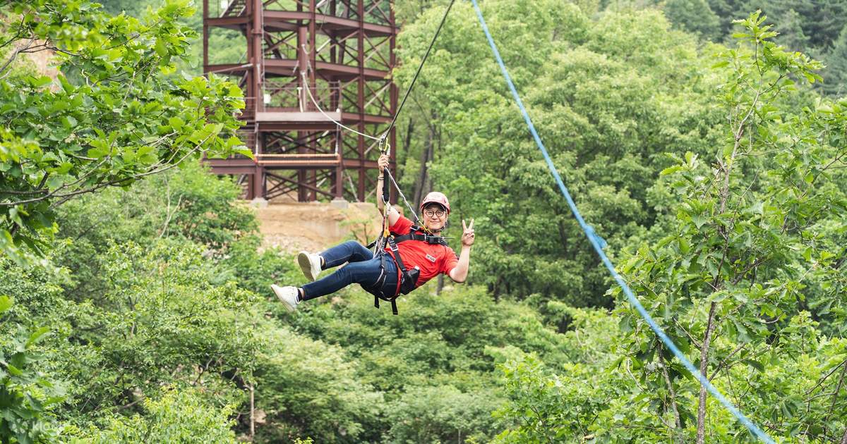 Visit the Popular Nami Island or Everland in This Day Trip Plus Zipline ...