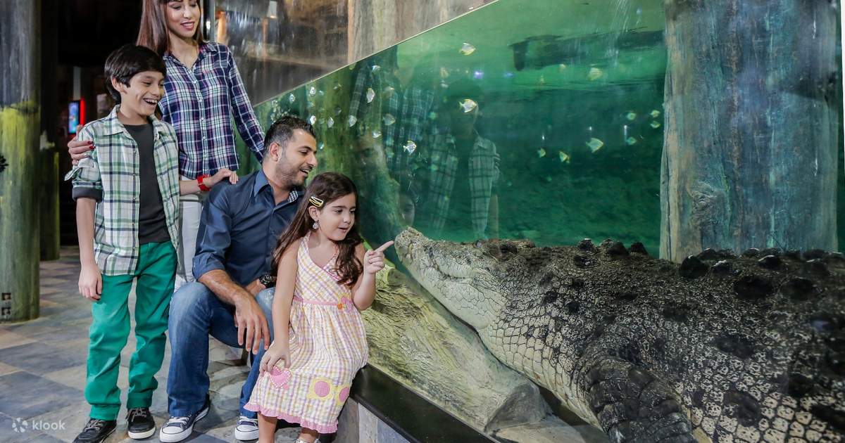 Dubai Aquarium and Underwater Zoo at Dubai Mall - Klook