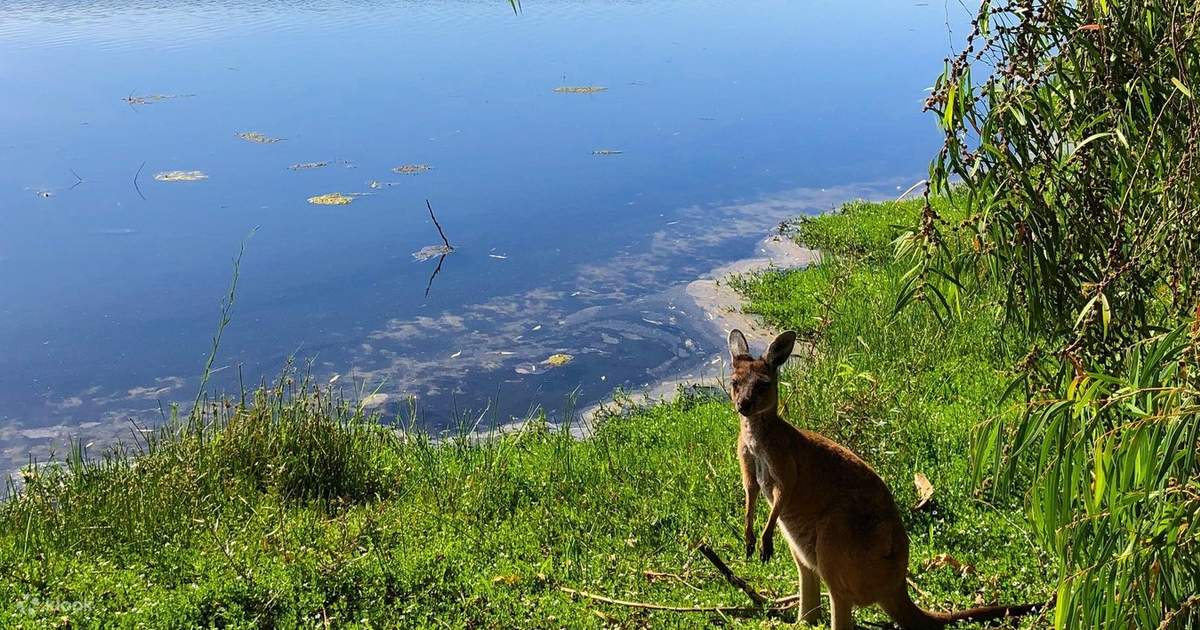 Wave Rock, York, Wildflowers & Aboriginal Culture Day Trip from Perth ...