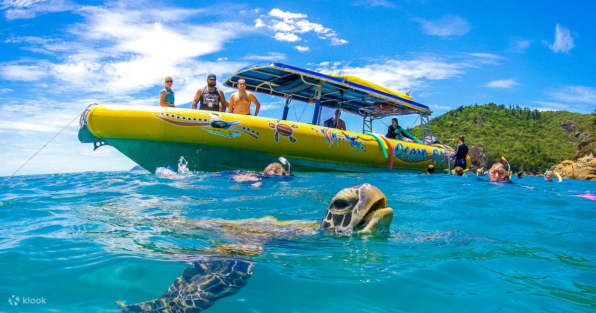 Rafting Tours to Whitehaven Beach from Airlie Beach - Klook Singapore