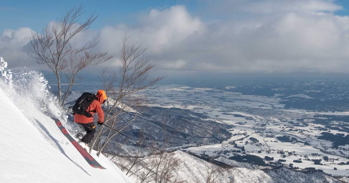 LOTTE ARAI RESORT 1日エコノミーチケット ロッテアライリゾート エコノミークラス リフト券 1枚 スキー場