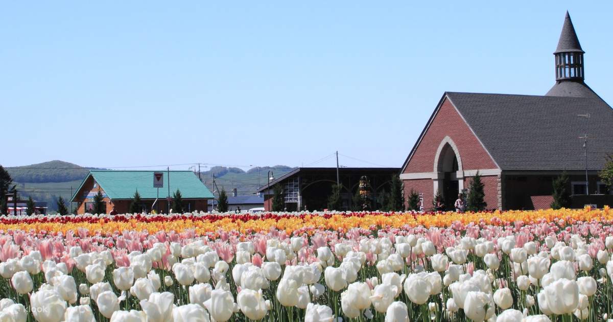 Heavenly Tulip Festival, Travel, Japan Diving
