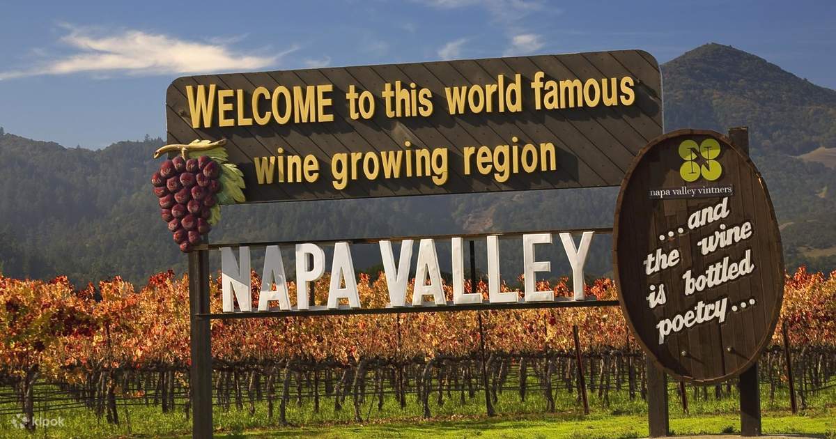 나파 밸리 & 소노마 일일 와인 투어 (샌프란시스코 출발) - 클룩 Klook 한국