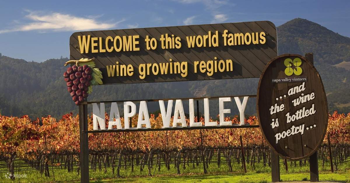 Napa Valley and Sonoma Wine Country Full Day Tour from San Francisco in USA  Klook Singapore