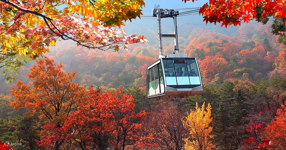 Seoraksan Naejangsan Autumn Foliage Day Tour from Seoul Klook  Philippines