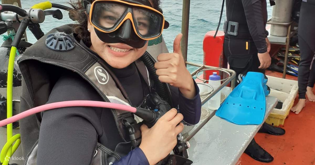 Программа Padi discover Scuba Diving