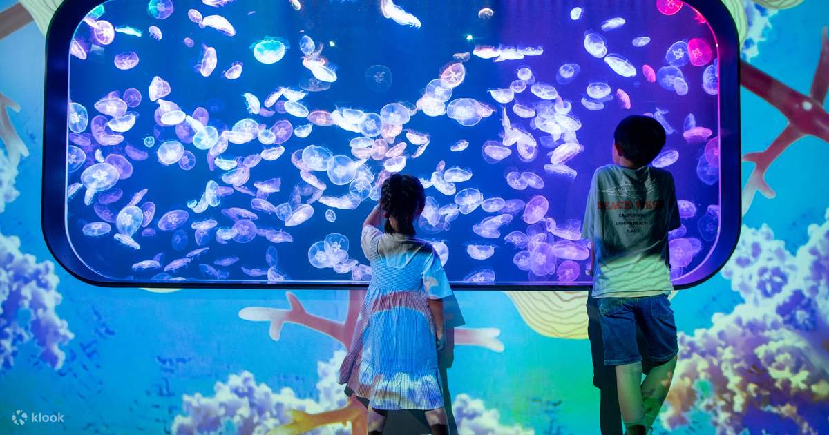 2 Hour Cube O Discovery Park Ticket in Hong Kong (Direct Entry) - Klook